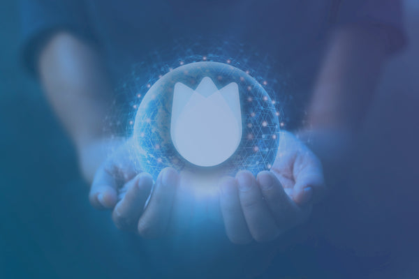 Komet Codes: Category Standardization
