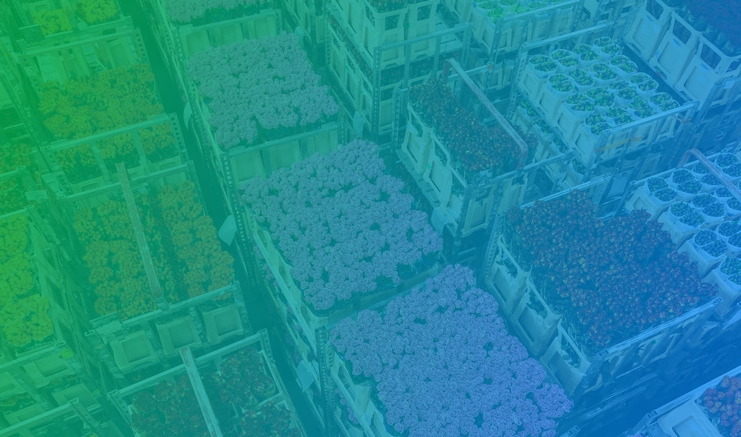 Purchase Orders Bulk Mode